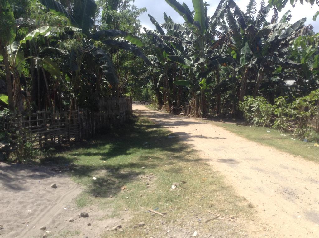 Rasti Homestay Kuta  Ngoại thất bức ảnh