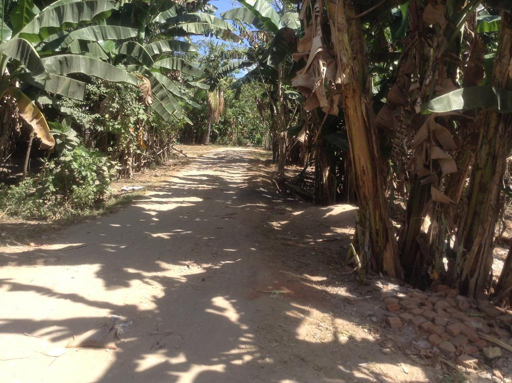 Rasti Homestay Kuta  Ngoại thất bức ảnh